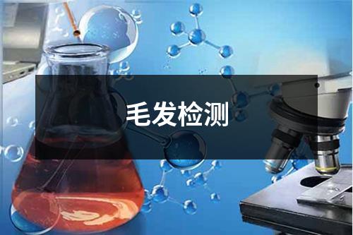 毛发检测 